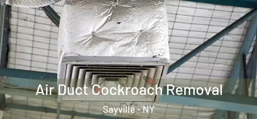  Air Duct Cockroach Removal Sayville - NY