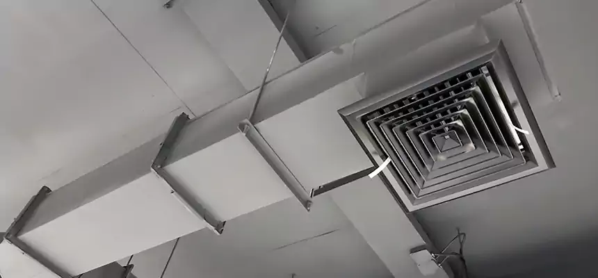 Our Rodent Droppings In Vents Services in Sayville, NY