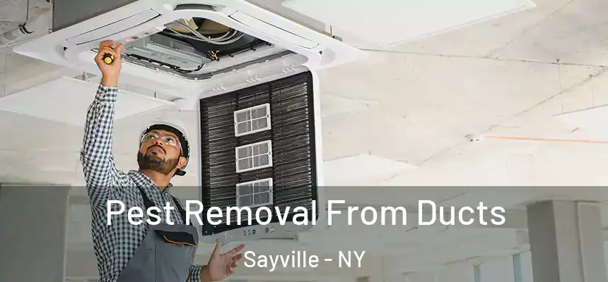  Pest Removal From Ducts Sayville - NY