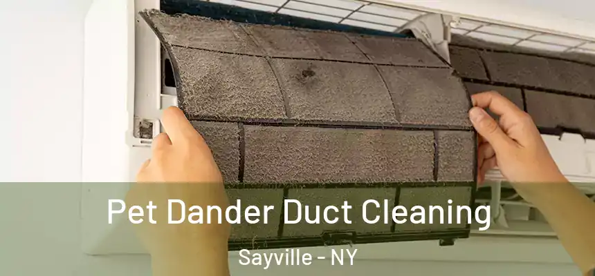  Pet Dander Duct Cleaning Sayville - NY