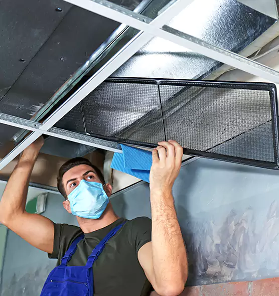 Professional Air Duct Pollen Cleaning in Sayville, NY