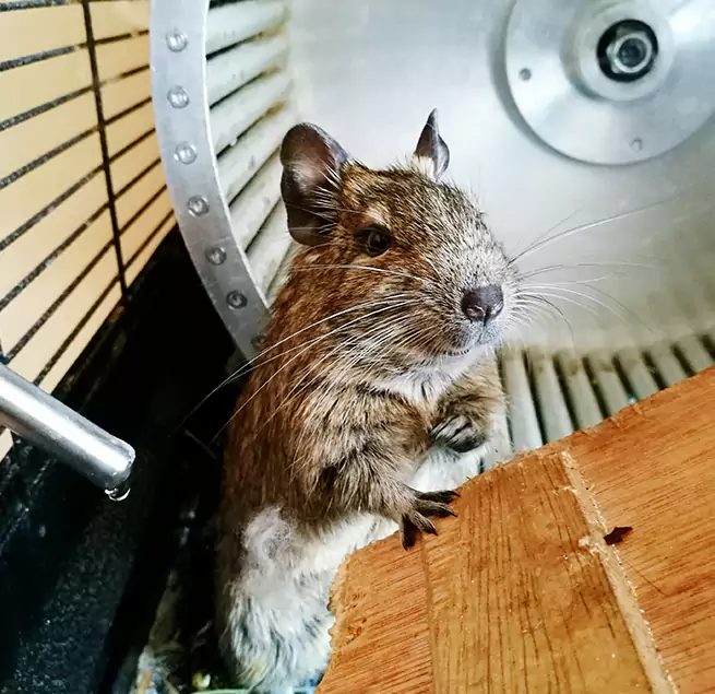 Why Homeowners & Businesses Trust Us Sayville, NY?