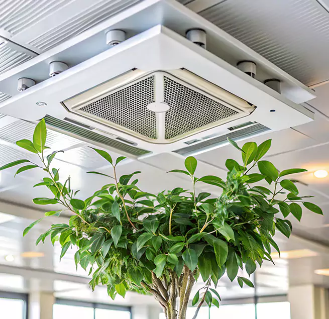 Why Homeowners & Businesses Trust Us in Sayville, NY