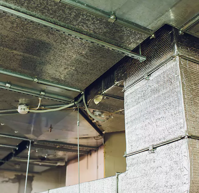 Why Homeowners & Businesses Trust Us in Sayville, NY?